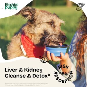 Detox Drops for Dogs - Liver Cleanse & Kidney Support for All Breeds & Sizes - Dandelion Leaf & Dandelion Root - Antioxidant Support for Pets - Herbal Vitamins and Supplements for Detox - 2 oz