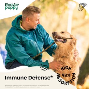 Immune Support Supplement for Dogs - Liquid Immune Drops for All Breeds & Sizes - Echinacea, Marshmallow Root & Mullein Immunity Blend - Herbal Dog Vitamins and Supplements for Happy Pets - 4 oz