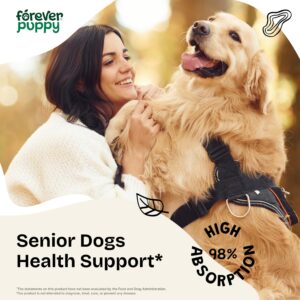 Senior Dogs Drops - Thyroid, Immune & Brain Support Complex for Elderly Dogs of All Breeds & Sizes - Vitamins and Supplements for Older Dogs - Senior Dog Food Supplements - 2 oz