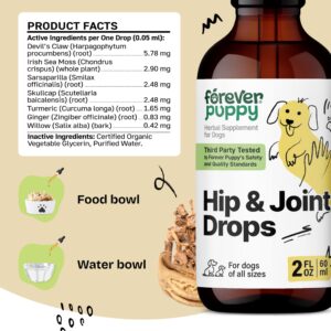 Hip and Joint Drops for Dogs - Joint Supplement w/Turmeric Curcumin - Liquid Alternative to Hip and Joint Chews for Dogs - Dog Vitamins and Supplements for Hip and Joint Health - 2 oz