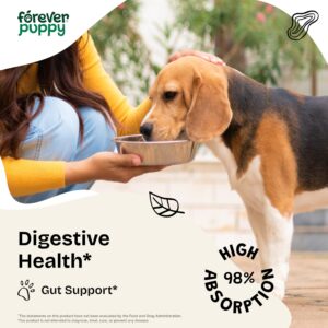 Digestion Drops for Dogs - Liquid Digestive Supplements w/Fennel Seeds & Licorice Root - Fiber for Dogs - Herbal Dog Vitamins and Supplements for Digestive Health & Gut Support 4 oz