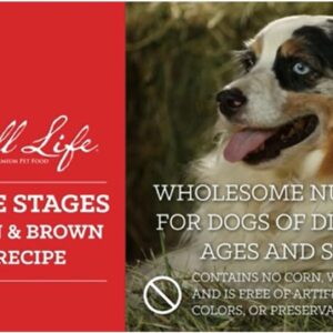 Nutrena Loyall Life All Life Stages Chicken and Rice Dog Food (40 Pounds), 1 Count (Pack of 1)