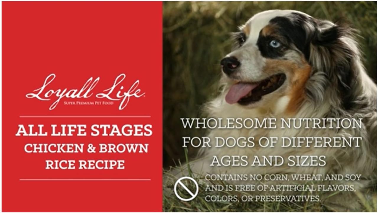 Nutrena Loyall Life All Life Stages Chicken and Rice Dog Food (40 Pounds), 1 Count (Pack of 1)