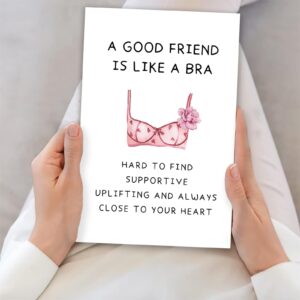 Missonemi Funny Best Friend Birthday Gifts Cards for Women, Bestie Definition Card,Happy Birthday Gift for BBF Sister, Great Friendship Card for Her -“A Good Friend Is Like A Bra”