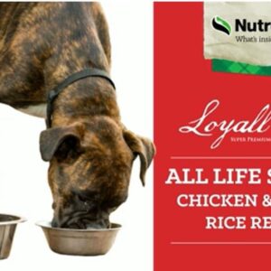 Nutrena Loyall Life All Life Stages Chicken and Rice Dog Food (40 Pounds), 1 Count (Pack of 1)