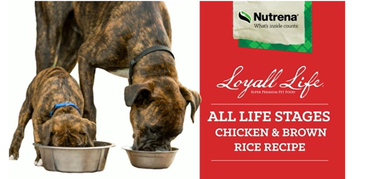 Nutrena Loyall Life All Life Stages Chicken and Rice Dog Food (40 Pounds), 1 Count (Pack of 1)