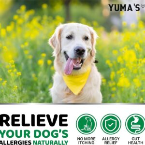 YUMA'S 2-Pack Dog Allergy Relief Chews - Dog Itching Skin Relief Treatment Pills - Anti-Itch for Dogs - Itchy and Paw Licking - Dry Skin & Hot Spots - Omega 3 Fish Oil - Skin & Coat Supplement