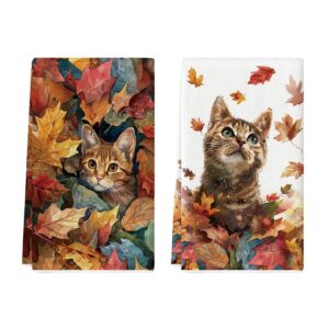 artoid mode maple leaves cat fall kitchen towels dish towels, 18x26 inch autumn floral thanksgiving decoration hand towels set of 2