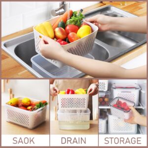 6 Pack Fruit Storage Containers for Fridge with Colander, Food Organizer Container for Keep Vegetables Berries Stay Fresher Longer BPA-Free Dishwasher & Microwave Safe