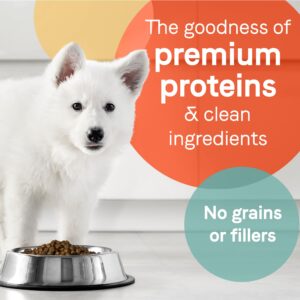 Canidae Pure Grain Free Dry Puppy Food, Real Salmon & Sweet Potato, 4 lbs.