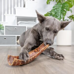 Natural Cravings: Bison Trachea 3 Pack - 12"-13" - Dog Half Trachea Chew Treat, Lg-XL Dogs, Power Chewers, Slow Roasted Single Ingredient, USA Made