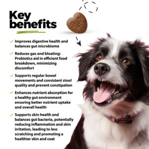 ANP Advanced Prebiotic & Probiotic Natural Chews for Dogs - No Animal Proteins, Gut Flora Health, Clinically Studied ProSEB Multi® for Digestive Health, Including Diarrhea Relief and Bowel Stability