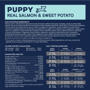 Canidae Pure Grain Free Dry Puppy Food, Real Salmon & Sweet Potato, 4 lbs.