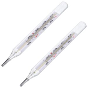 JOINPAYA 2Pc Glass Oral Temperature Adult: Free Clinic Armpit Fast Reading Fever Indicator