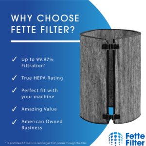 Fette Filter - Carbon Filter Replacement Compatible with Dyson K-Carbon, Compare to Part # 972133-02 & 972133-03 for Dyson Models BP03/BP04/BP06 Purifier Big+Quiet Formaldehyde Extra Large. 1-Pack