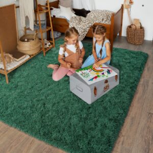 Dssimo Super Fluffy Area Rug for Bedroom, 4x6 Feet Modern Shag Green Rugs, Soft and Cozy Plush Carpet for Kids,Girls Boys and Teens Decorations for Living Room Dorm Nursery Classroom, Dark Green