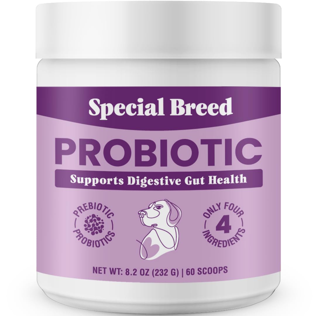 Special Breed Probiotic Powder for Dogs - Probiotics Digestive Supplement with Bone Broth for Your Dog, Supports Healthy Pet Digestion, 8.2 oz