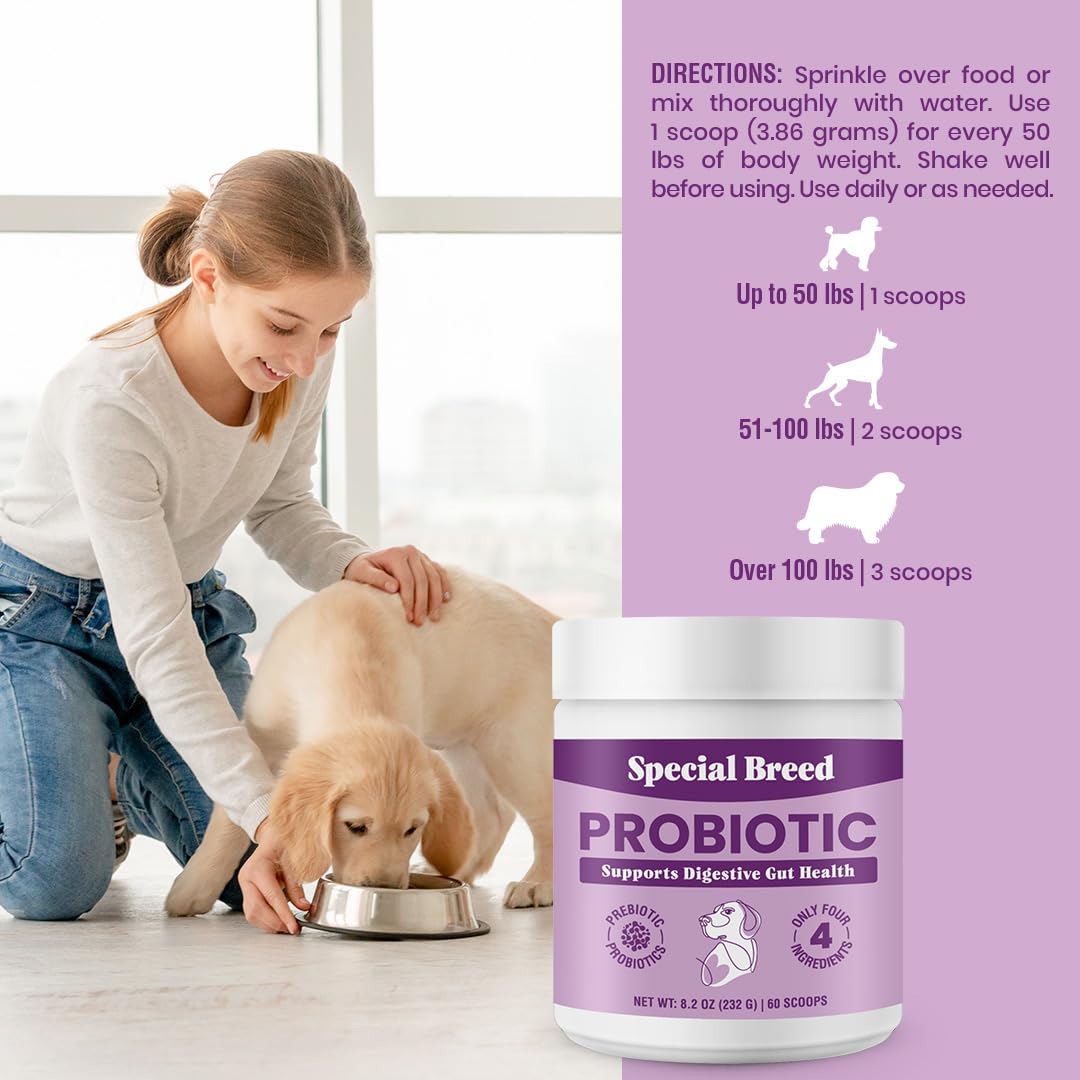 Special Breed Probiotic Powder for Dogs - Probiotics Digestive Supplement with Bone Broth for Your Dog, Supports Healthy Pet Digestion, 8.2 oz