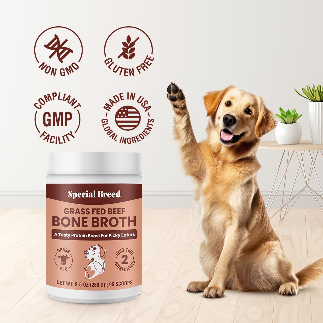 Special Breed Bone Broth Powder for Dogs and Cats - Dog and Cat Food Topper, Grass Fed Beef Broth Supplement, 9.5 oz