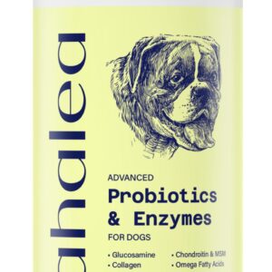 AHALEA Probiotics for Dogs- Dog Probiotics for Digestive Health, Support Gut Health, Diarrhea, Digestive Health & Seasonal Allergies, 90 Count 2 Billion CFUs