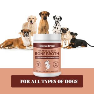 Special Breed Bone Broth Powder for Dogs and Cats - Dog and Cat Food Topper, Grass Fed Beef Broth Supplement, 9.5 oz