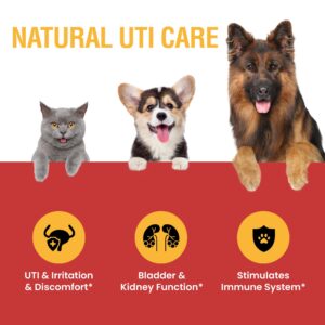 Urinary Tract Infection Treatment for Cats and Dogs - Cranberry UTI Supplement, Kidney and Bladder Support, 2 oz