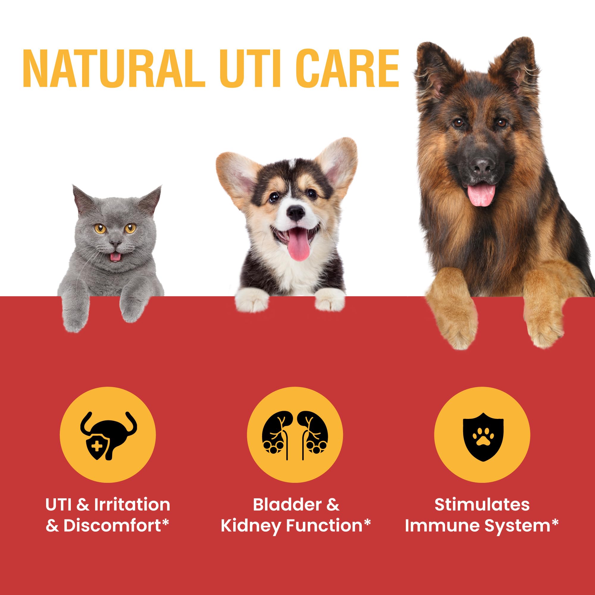 Urinary Tract Infection Treatment for Cats and Dogs - Cranberry UTI Supplement, Kidney and Bladder Support, 2 oz