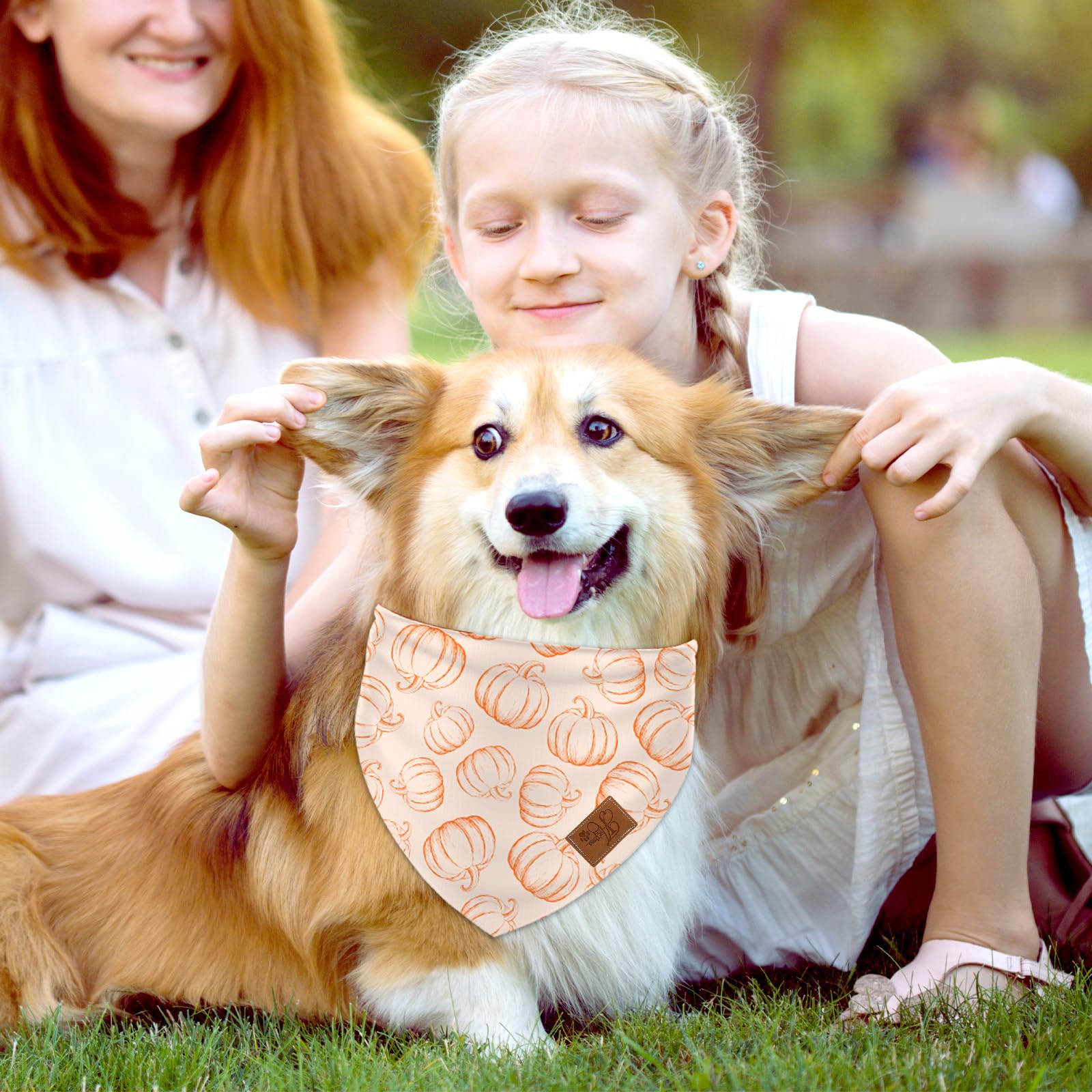 JarThenaAMCS 2Pcs Fall Reversible Dog Bandana Pumpkin Polka Dot Autumn Leaves Gingham Triangle Pet Scarf Orange Adjustable Pet Neckerchief Dog Bibs for Dog Cat Costume Accessories