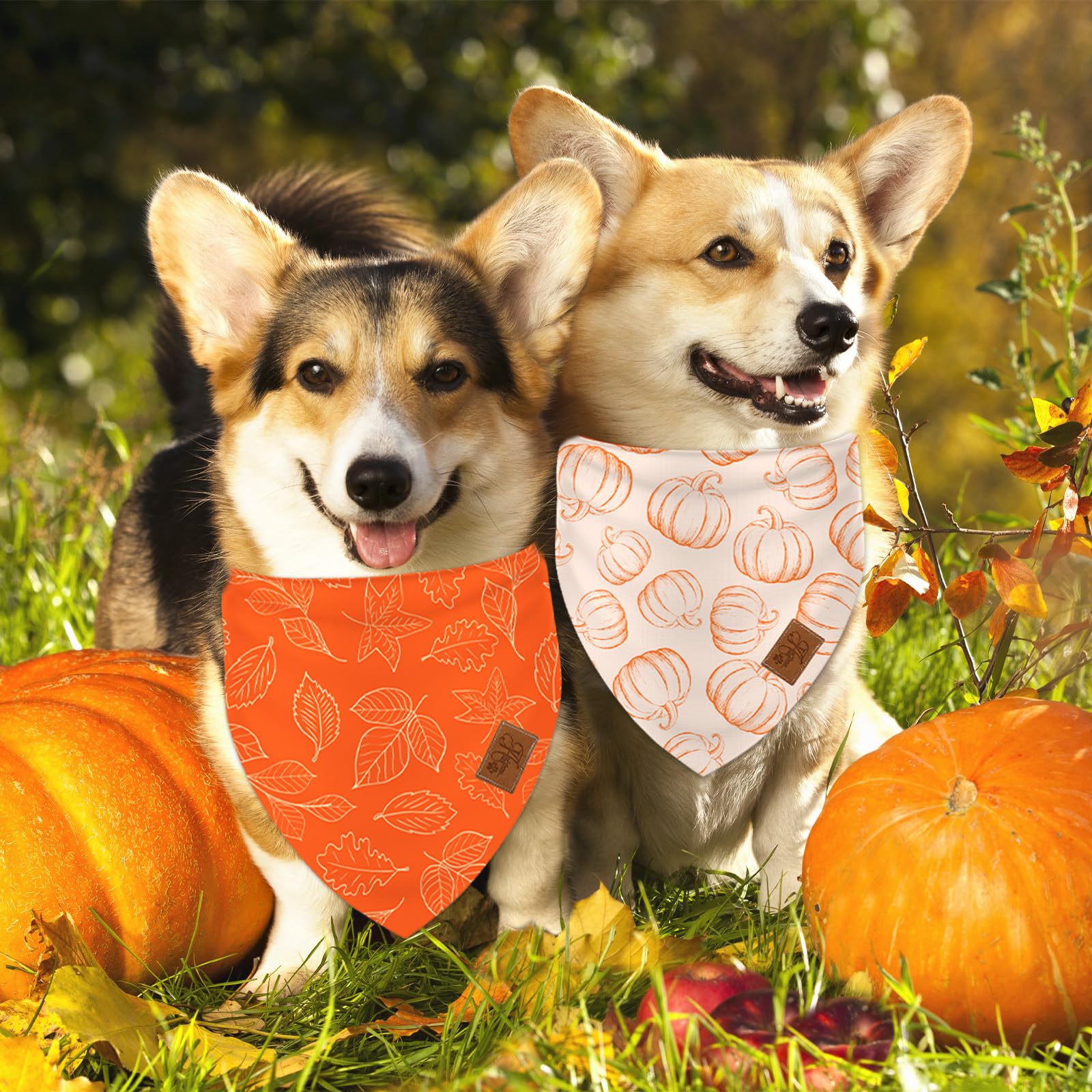 JarThenaAMCS 2Pcs Fall Reversible Dog Bandana Pumpkin Polka Dot Autumn Leaves Gingham Triangle Pet Scarf Orange Adjustable Pet Neckerchief Dog Bibs for Dog Cat Costume Accessories