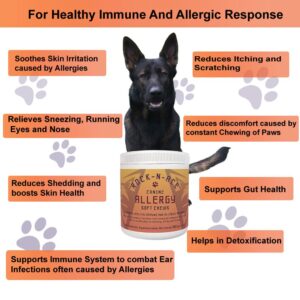 Rock-N-Ace Canine Soft Allergy Chews for Dogs - 60 Count - Premium Ingredients, Made in USA - Vet Recommended - Helps Combat Allergies & Immune Issues