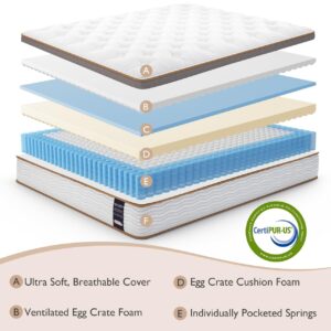 BedStory Full Mattress - 14 Inch Hybrid Mattress in a Box - Individually Wrapped Coils for Pressure Relief and Motion Isolation