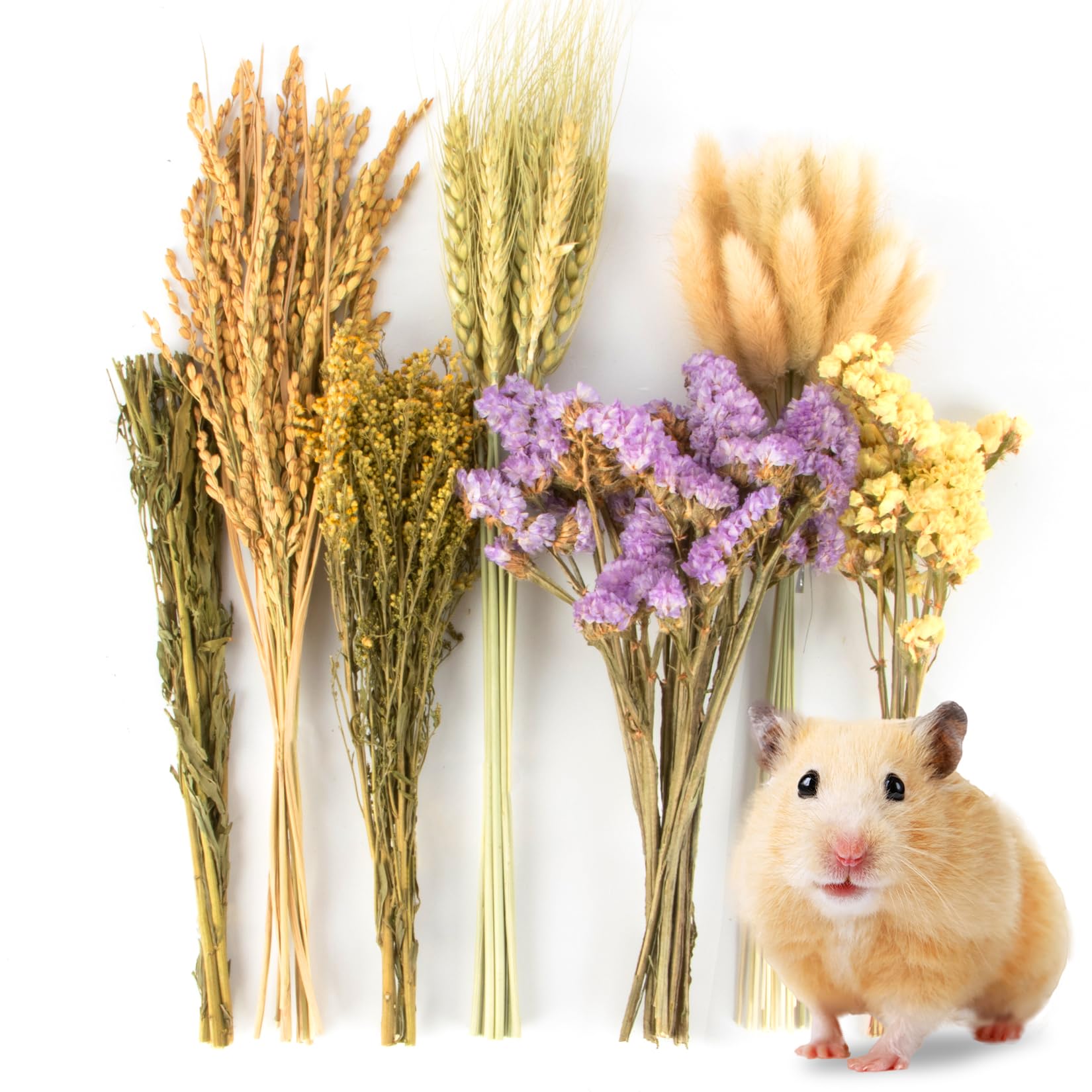 Sukh Nature Flower Herb Hamster Bedding Decor Hamster Habitat Decor Mate Small Animal Habitat Decor Hamster Cage Mate Natural Hamster Sprays for Syrian Dwarf Hamsters Gerbils Rabbit Other Small Pets