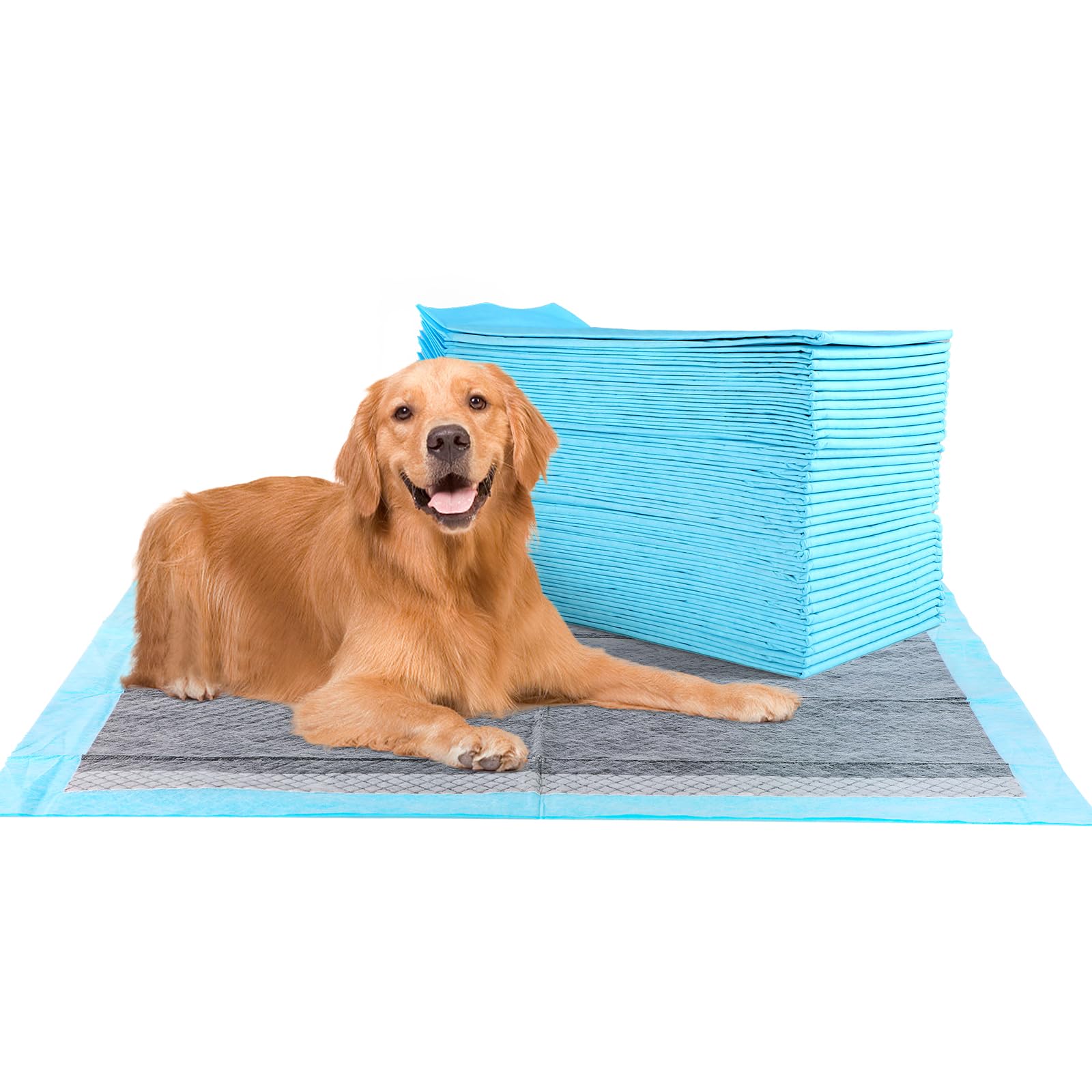 FluffyDream Super Absorbent Waterproof Dog and Puppy Pet Training Pad, Housebreaking Pet Pad, Small-Size, Blue, 23.6" x 35.4"(20 PCS), Odor Control