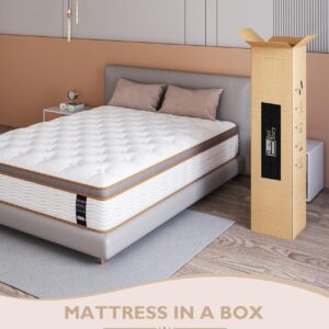 BedStory Full Mattress - 14 Inch Hybrid Mattress in a Box - Individually Wrapped Coils for Pressure Relief and Motion Isolation