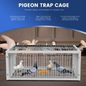 PAUQRWIE Pigeon Trap Cage Bird Traps for Small Birds Folding One-Way Entrance Trapping Portable U-Trap Door for Doves Breeding Supply Pigeon Coop