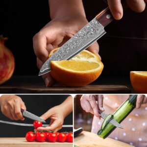 COOKLET'S Small Pairing Knife for Cutting Fruit, Professional VG10 Damascus Steel Forged Ultra Sharp Kitchen Knife, G10 Ergonomic Color Wooden Handle with Luxury Gift Box