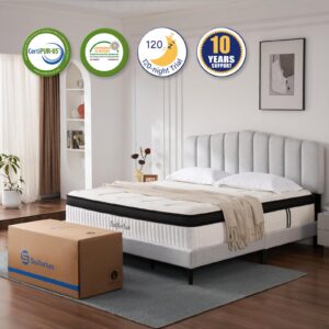 Suiforlun California King Mattress, 14 Inch Hybrid Mattress, Cool Gel Memory Foam and Heavier Coil Pocket Spring Mattress in a Box for Back Support & Pain Relief, Medium-Plush, 120 Nights Trial