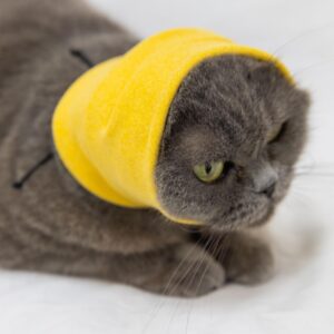 DDFS Cat Hematoma Ear Wrap,Cat No Flap Ear Wrap Anxiety & Stress Relief - No Flap Ear Wrap for Cats Yellow S