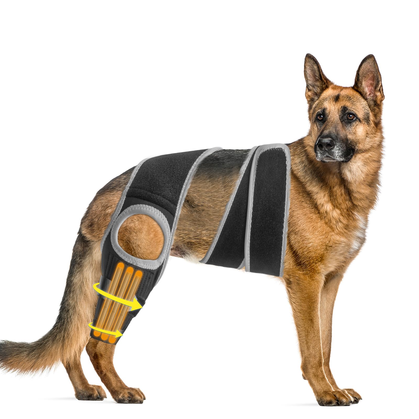 Dog ACL Knee Leg Brace, Dog Hip Brace for Front Torn and Back ACL Hind Rear Legs, Comfortable & Adjustable Tailwind Dog Hip Dysplasia Brace for Dog Arthritis, Luxating Patella with 10X Support (XL)