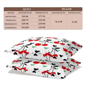 Delerain Comforter Set Queen Size, Red Cherry Print 3-Piece Bedding Set for Women Men Modern Soft Microfiber Bedroom Set Room Decor, 1 Duvet Cover + 2 Pillowcases