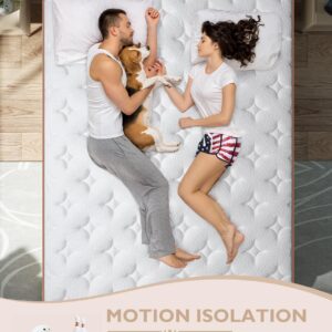 BedStory Full Mattress - 14 Inch Hybrid Mattress in a Box - Individually Wrapped Coils for Pressure Relief and Motion Isolation