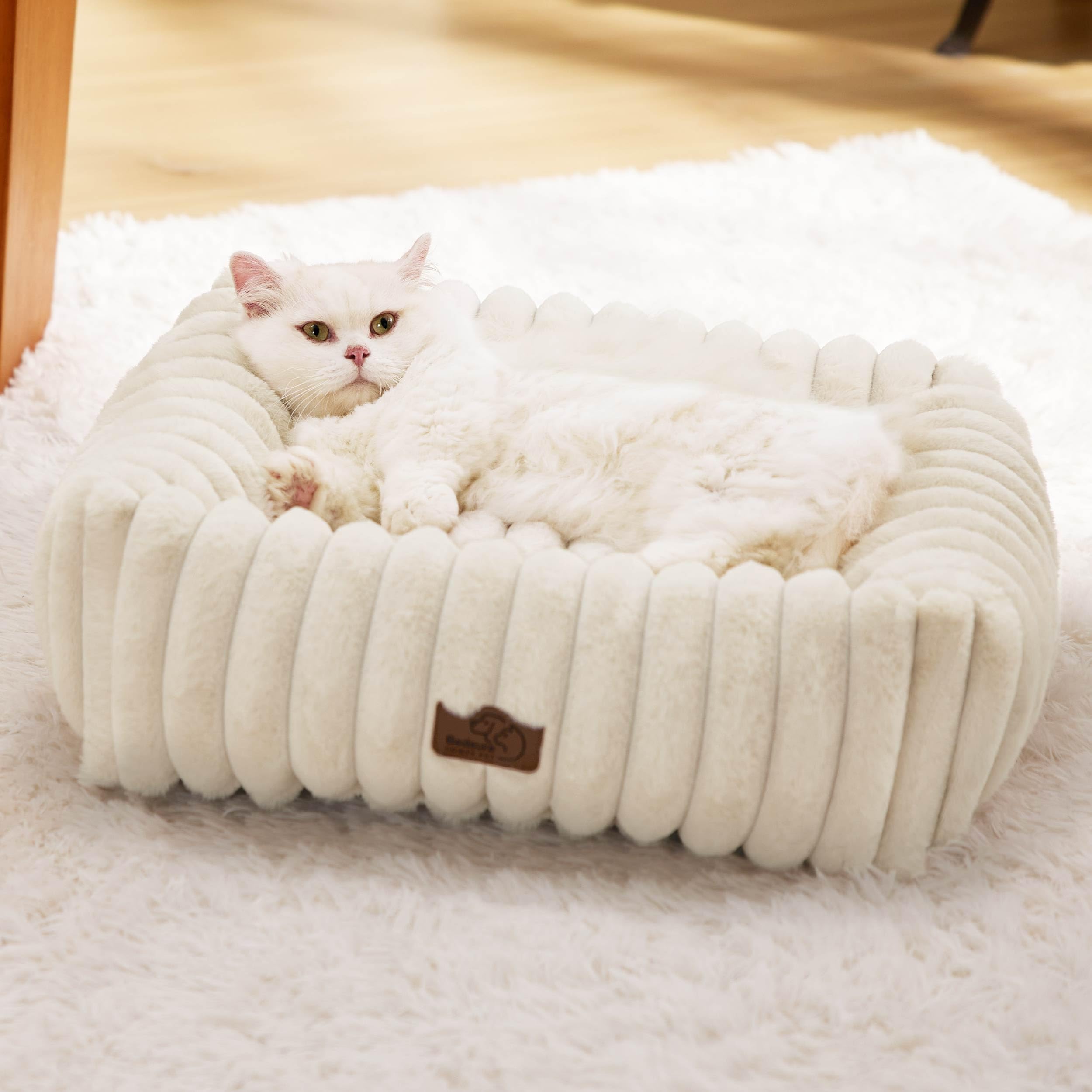 Bedsure Cute Dog Bed for Small Dogs & Cats - Washable Furry Puppy Beds, Rectangle Orthopedic Corduroy Fleece Pet Beds with Removable Zipper Cover, 20x19x6inches, Cream