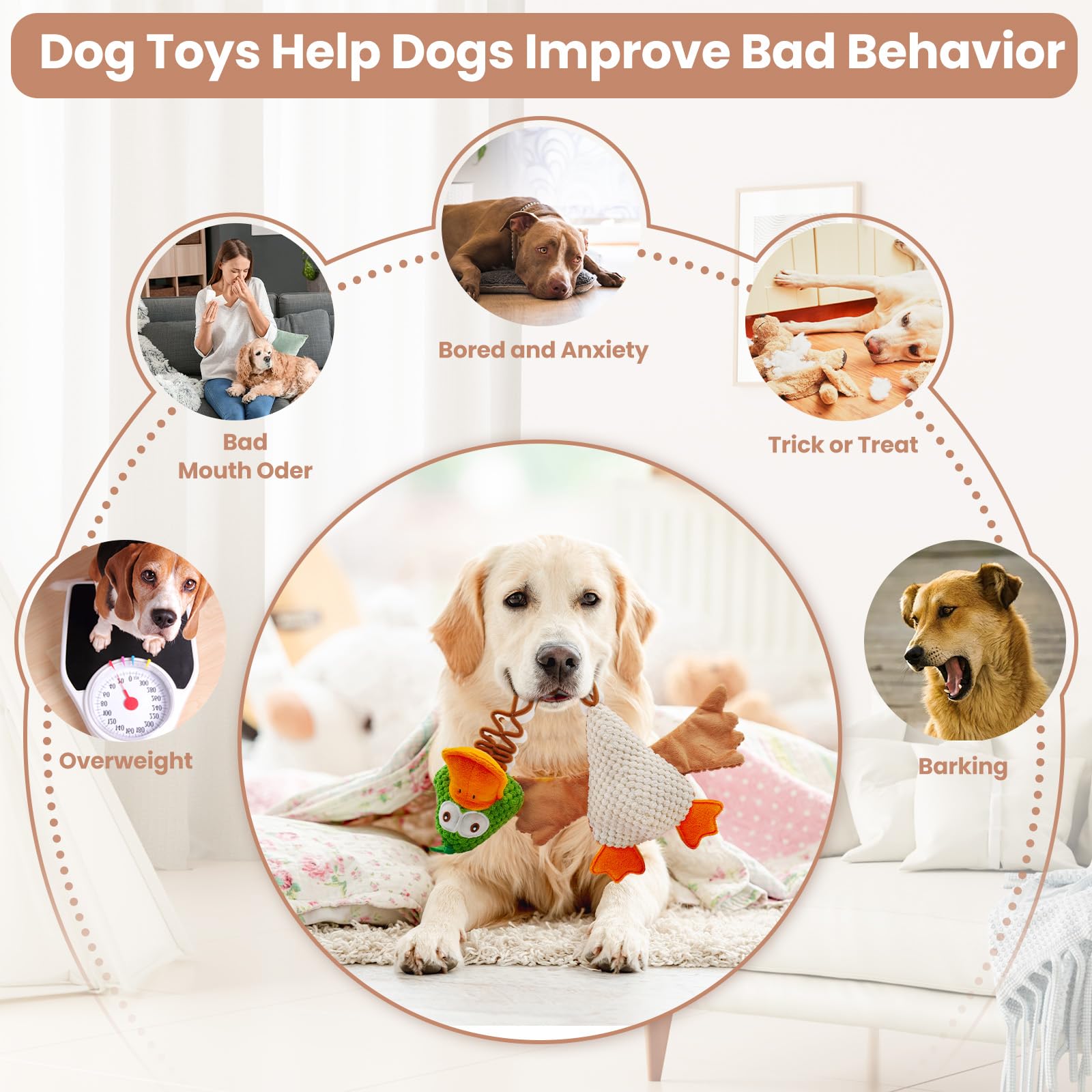 WinTour Dog Toys for Small Dogs, Puppy Toys to Keep Them Busy, Puppy Teething Toys, Dog Chew Toys for Small/Medium Dogs, Non-Tough Dog Toys for Aggressive Chewers, Squeaky Dog Toys, Tug of War Dog Toy