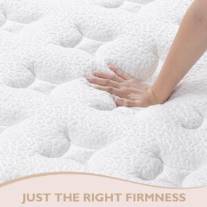 BedStory Full Mattress - 14 Inch Hybrid Mattress in a Box - Individually Wrapped Coils for Pressure Relief and Motion Isolation