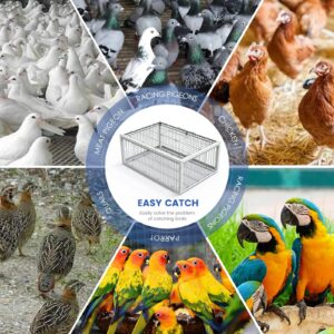 PAUQRWIE Pigeon Trap Cage Bird Traps for Small Birds Folding One-Way Entrance Trapping Portable U-Trap Door for Doves Breeding Supply Pigeon Coop