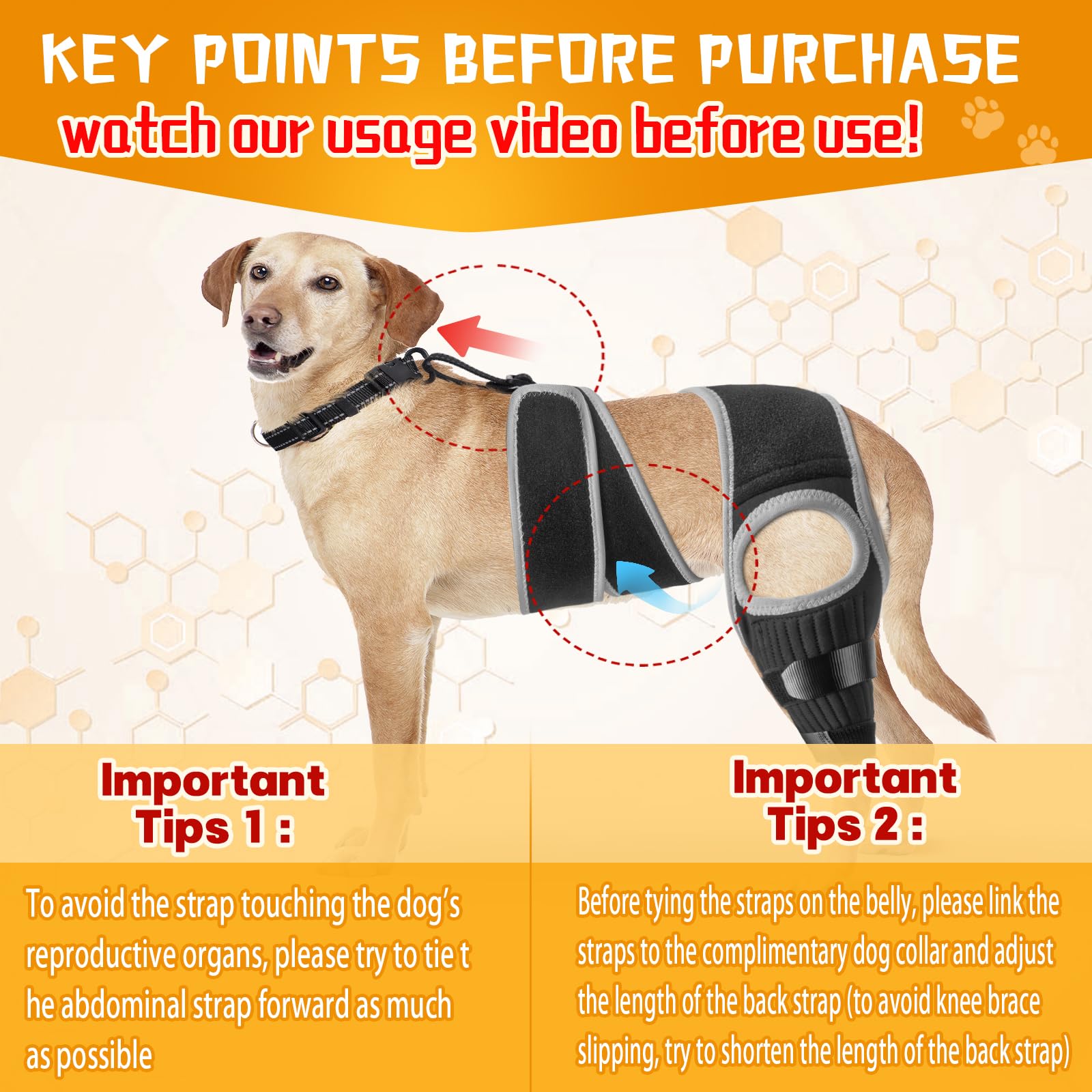 Dog ACL Knee Leg Brace, Dog Hip Brace for Front Torn and Back ACL Hind Rear Legs, Comfortable & Adjustable Tailwind Dog Hip Dysplasia Brace for Dog Arthritis, Luxating Patella with 10X Support (XL)