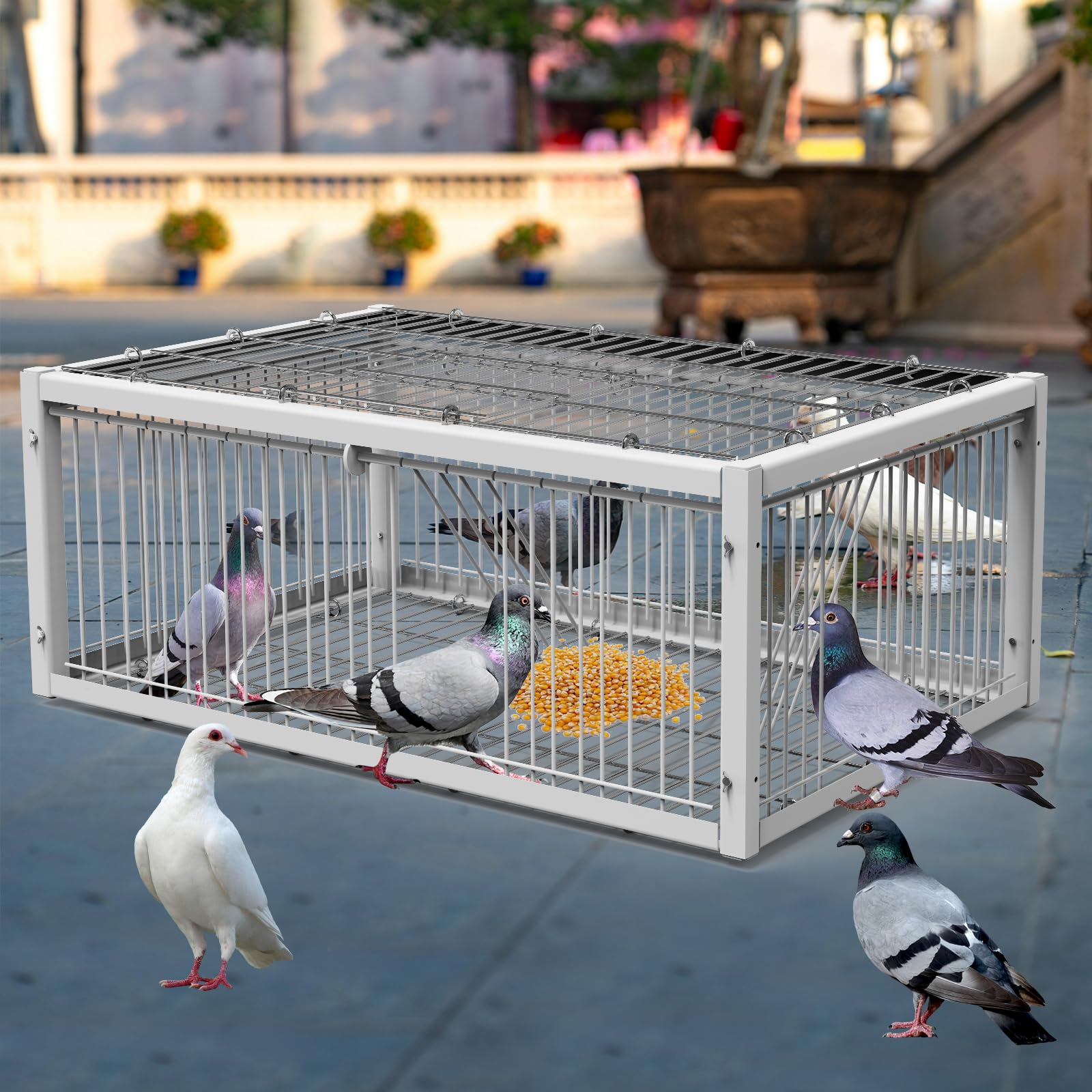 PAUQRWIE Pigeon Trap Cage Bird Traps for Small Birds Folding One-Way Entrance Trapping Portable U-Trap Door for Doves Breeding Supply Pigeon Coop