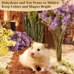 Sukh Nature Flower Herb Hamster Bedding Decor Hamster Habitat Decor Mate Small Animal Habitat Decor Hamster Cage Mate Natural Hamster Sprays for Syrian Dwarf Hamsters Gerbils Rabbit Other Small Pets