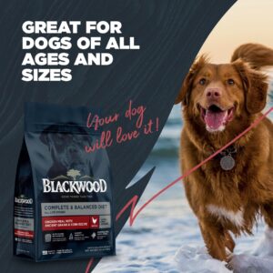 Blackwood Complete & Balanced Diet Dry Dog Food, Chicken Meal & Brown Rice with Ancient Grains, 10 Pound Bag, Slow Cooked with Vitamins & Minerals