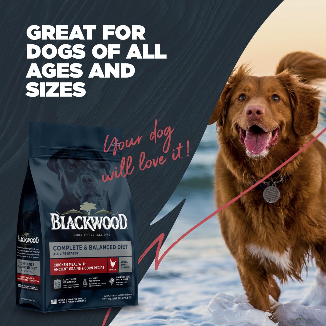 Blackwood Complete & Balanced Diet Dry Dog Food, Chicken Meal & Brown Rice with Ancient Grains, 4.5 Pound Bag, Slow Cooked with Vitamins & Minerals